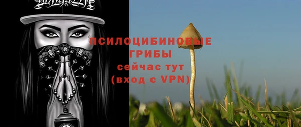 гашиш Абаза