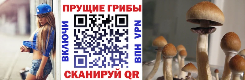 Псилоцибиновые грибы прущие грибы  omg ссылка  Ачхой-Мартан 